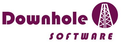 Downhole Software logo